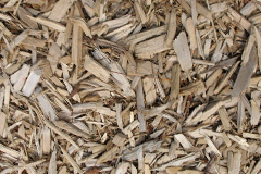 biomass boilers Burcombe
